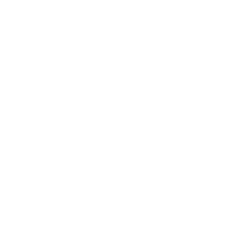 HNRG_260319_Customer-Show_icona_Valore