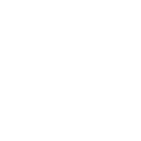 HNRG_260319_Customer-Show_icona_strategy